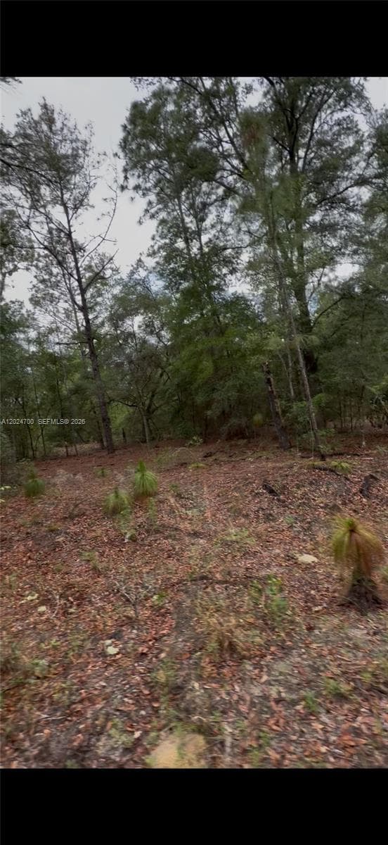 1373 SW 153rd Ave, Ocala FL 34481