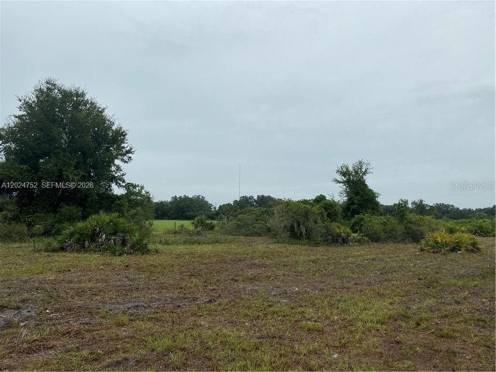 1525 N HIGHWAY 17, Unincorporated Dade County FL 34266
