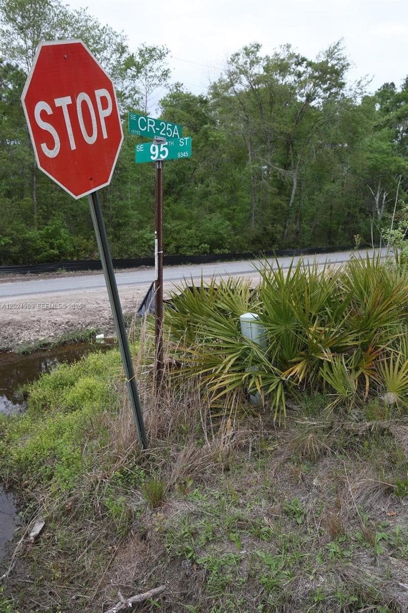 0 SE COUNTY ROAD 25A, Other City - In The State Of Florida FL 32096