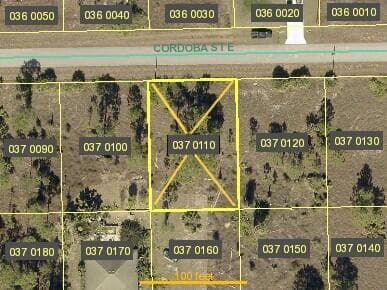 lee-county-florida-nieves-group