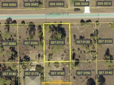 vacant-lot-lehigh-nieves-group