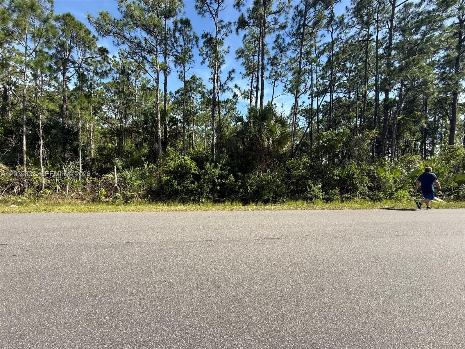 202 Jacaranda AVE NW, Palm Bay FL 32907