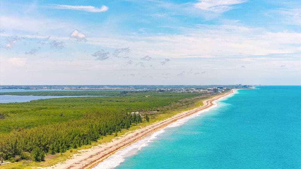 DJI_20260609015636_0626_D