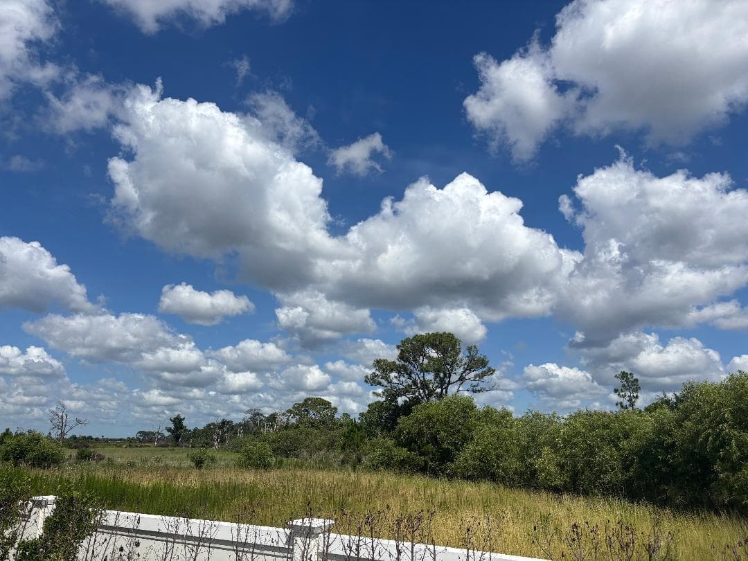 lot 58 preserve left