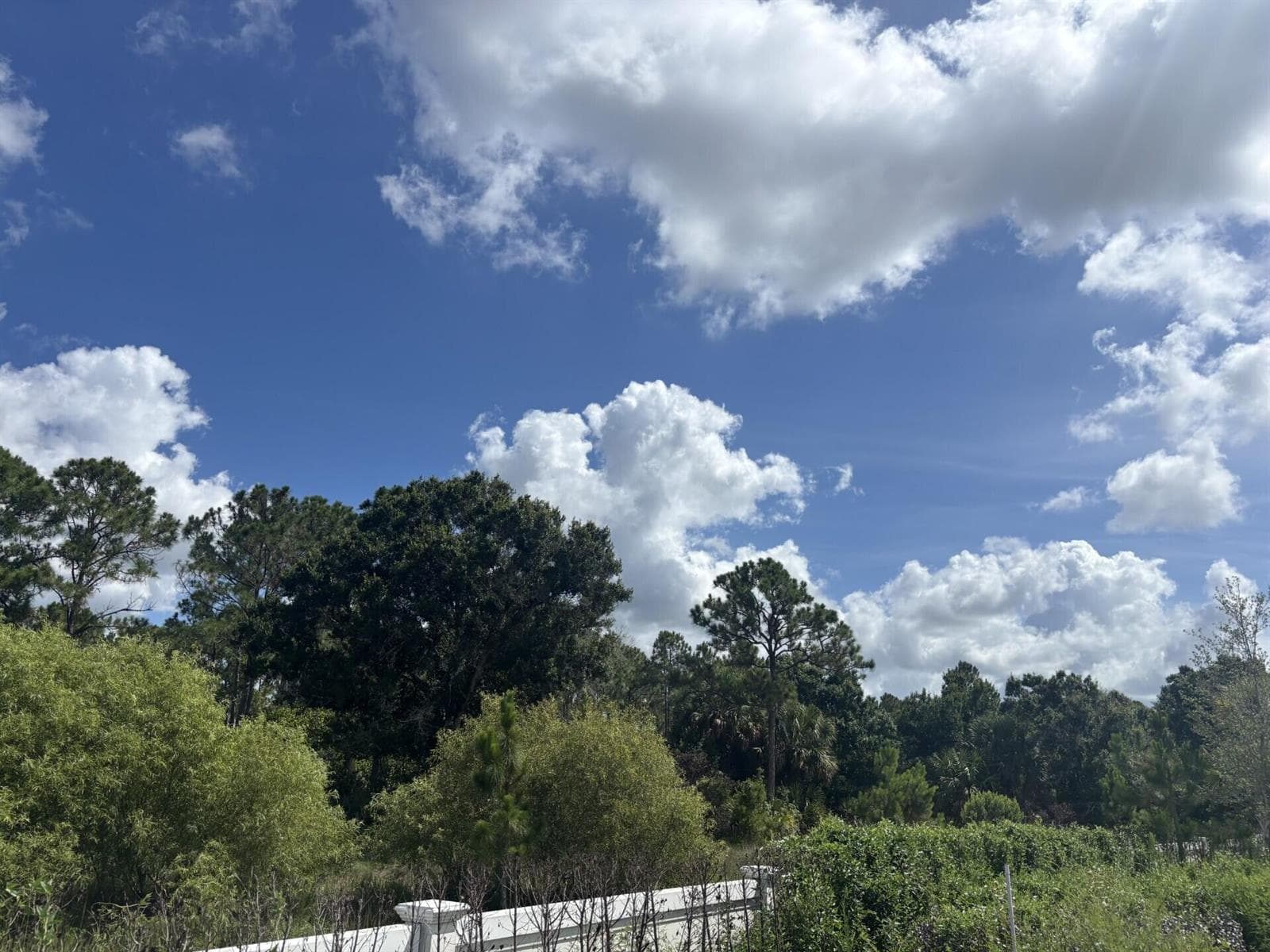 Lot 58 preserve right