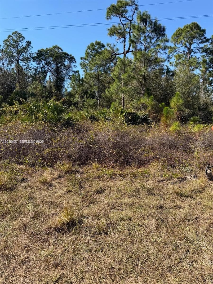 216 Columbus, Lehigh Acres FL 33974