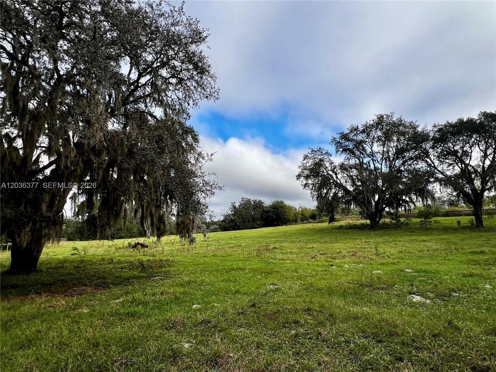 XXXXX MICRO RACETRACK RD, Other City - In The State Of Florida FL 34731