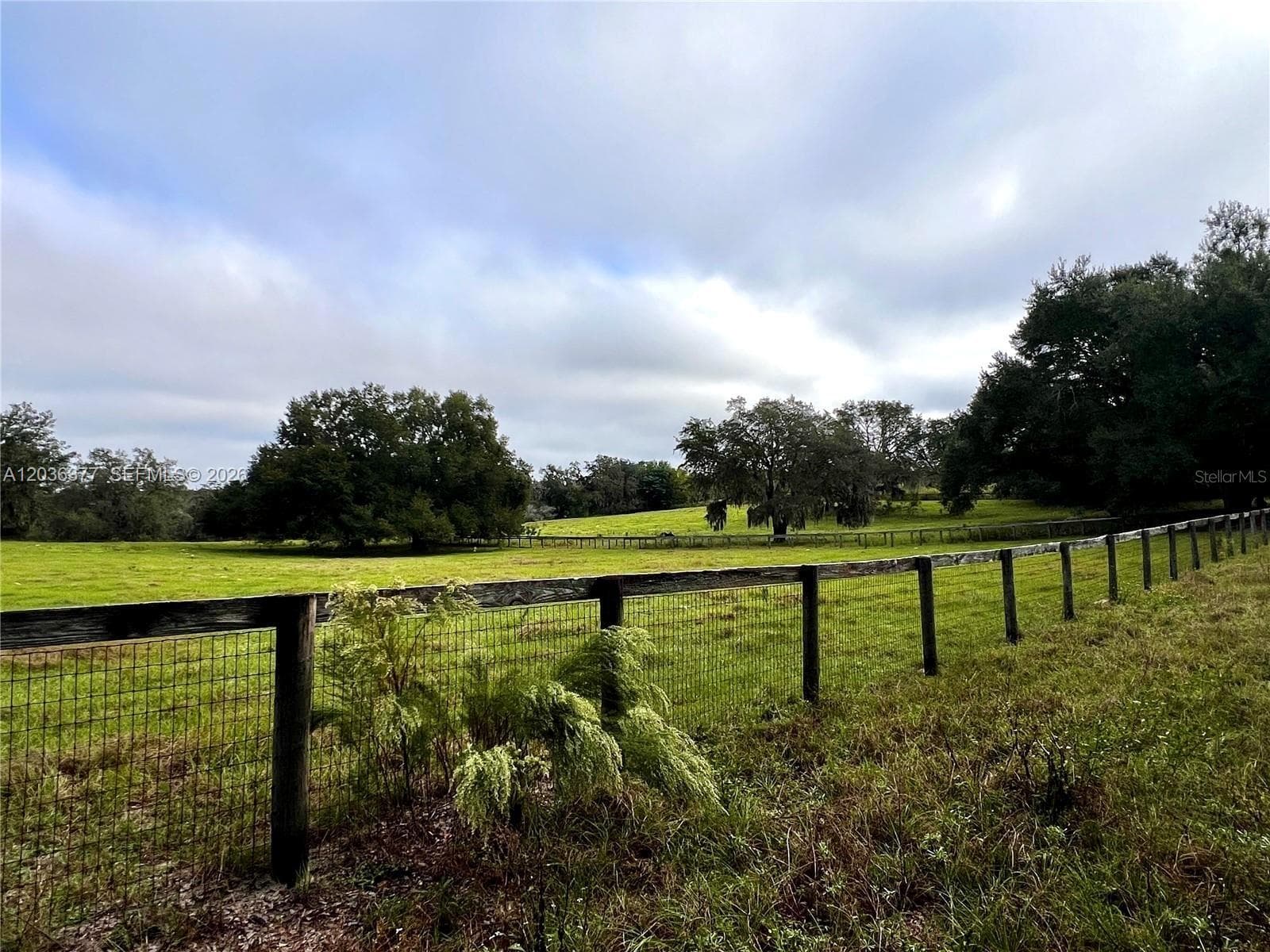 XXXXX MICRO RACETRACK RD, Other City - In The State Of Florida FL 34731