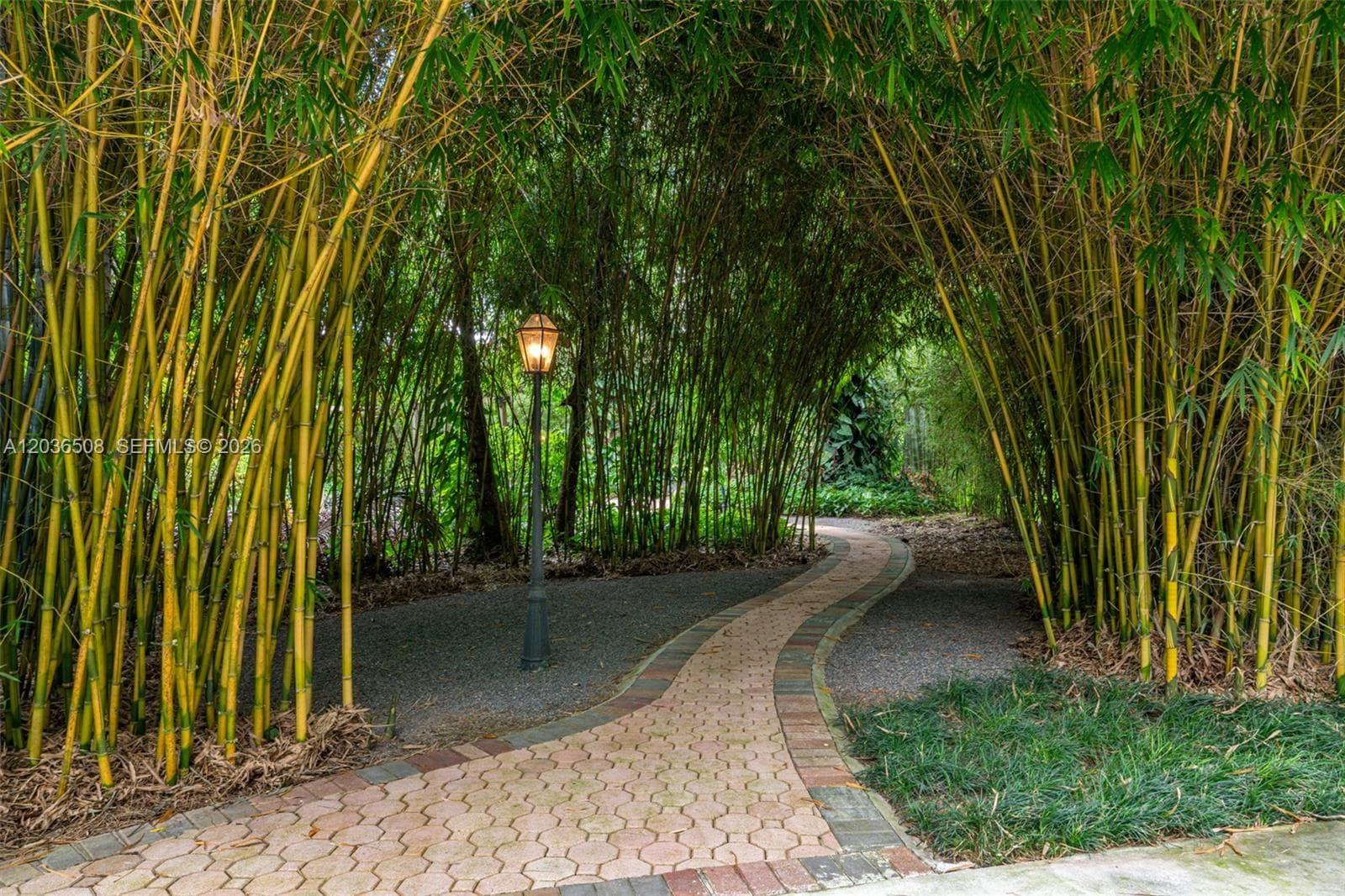 Beautiful bamboo lined walkways throughout the venue