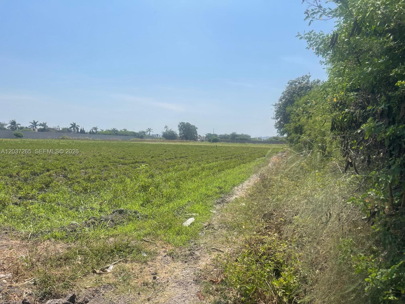 Lote utilizado parcialmente y temporalmente por agricultores.