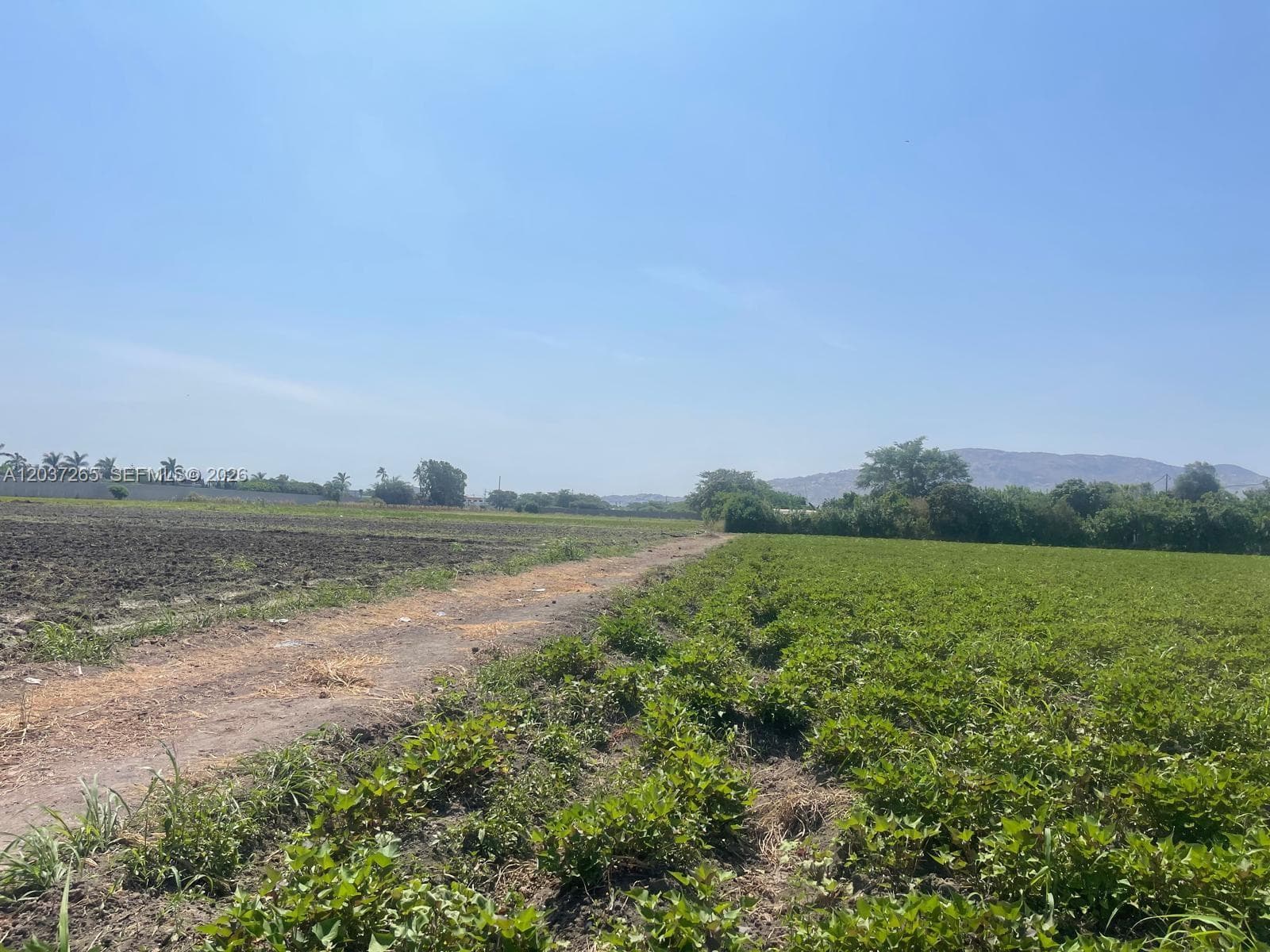 Lote utilizado parcialmente y temporalmente por agricultores.