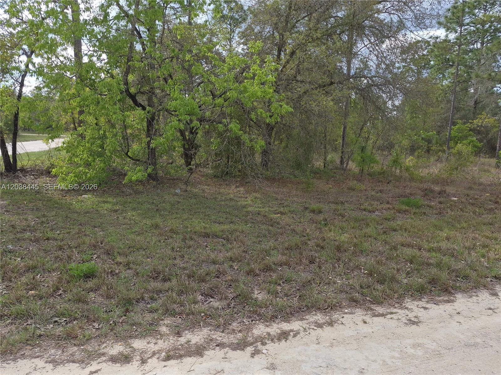00 NE 4 ST, Williston FL 32696
