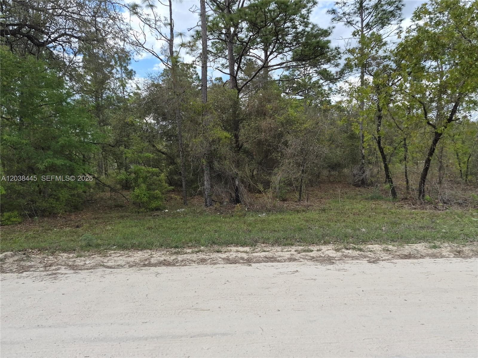 00 NE 4 ST, Williston FL 32696