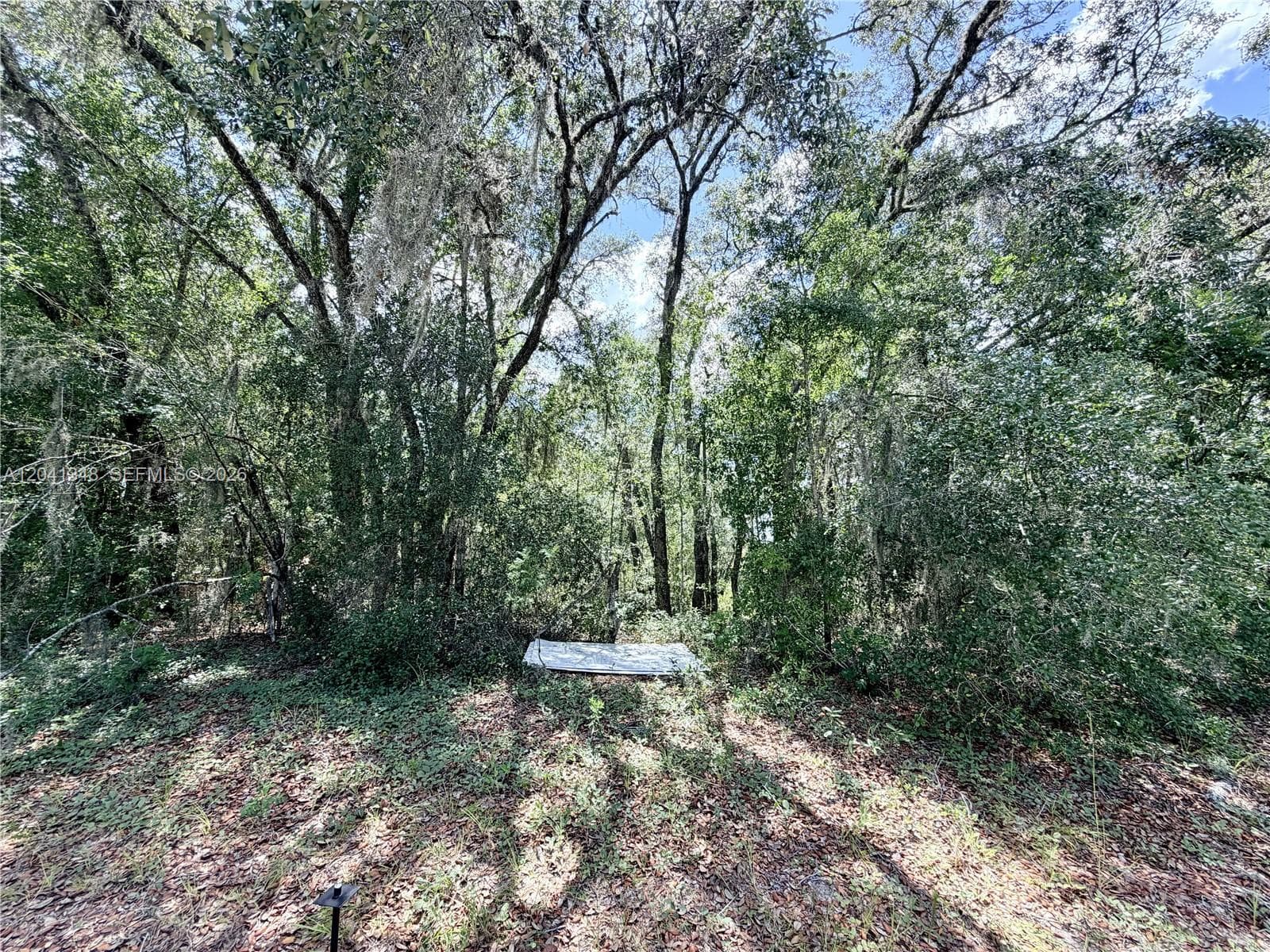 7932 N Elkcam Boulevard, Citrus Springs FL 34433