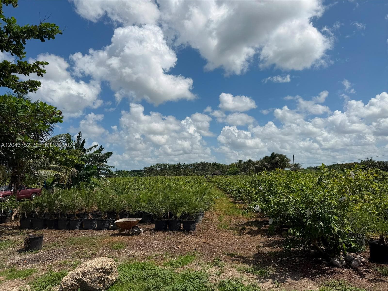 15805 SW 205 Avenue, Miami FL 33187