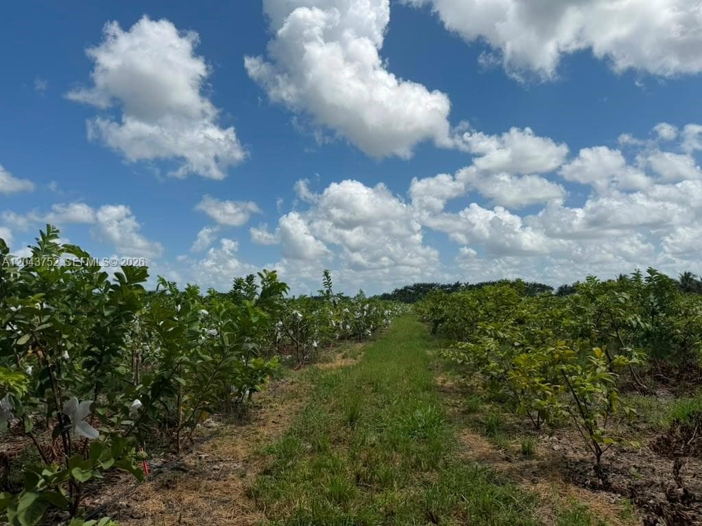 15805 SW 205 Avenue, Miami FL 33187