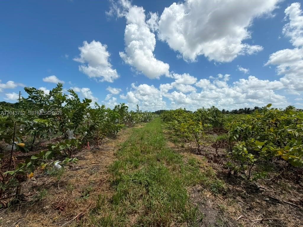 15805 SW 205 Avenue, Miami FL 33187