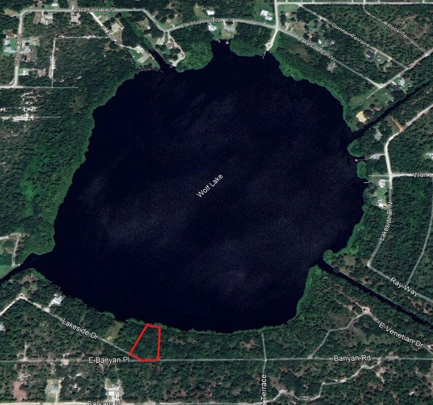 6605 E. Banyan