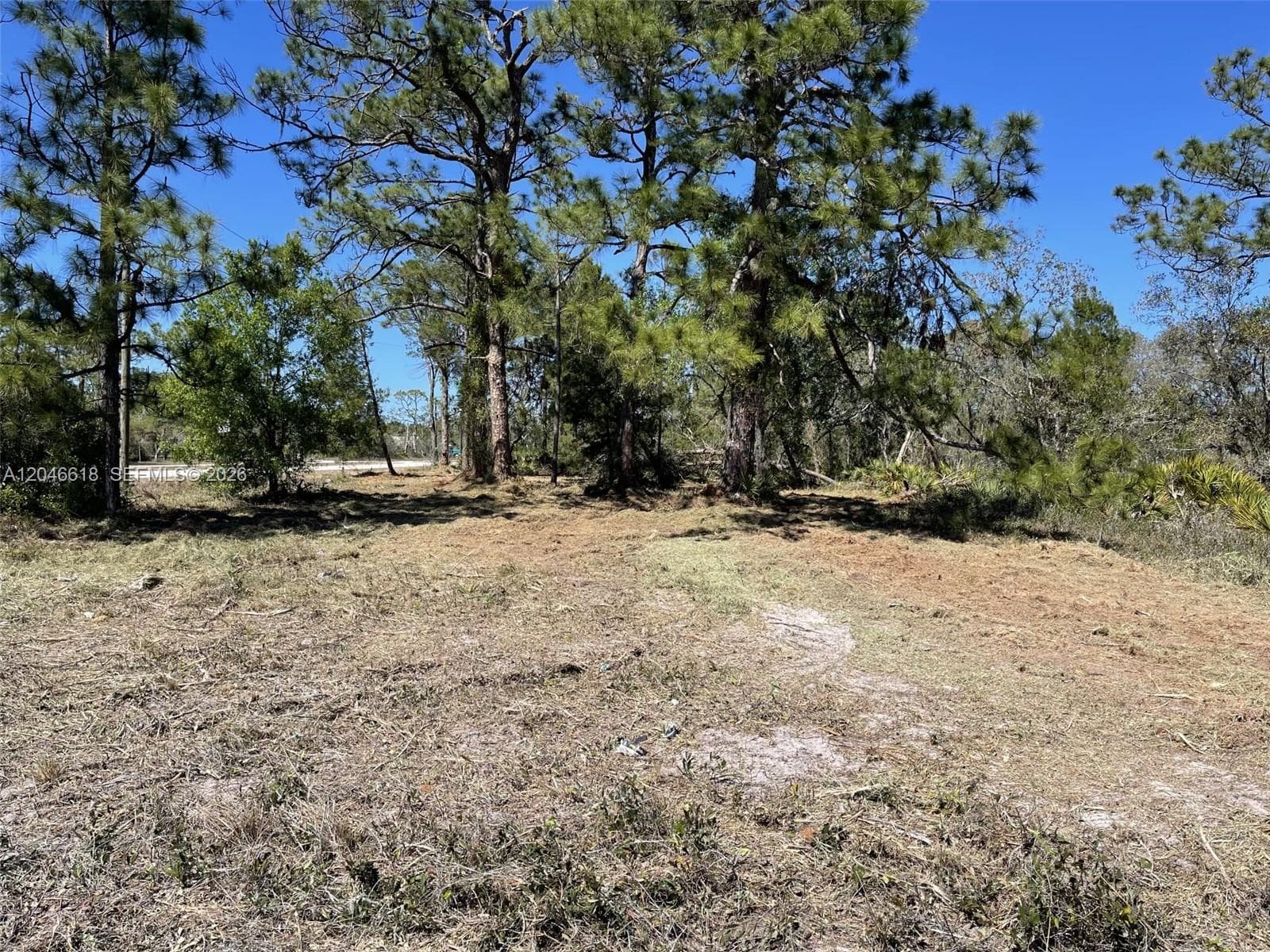 3202 SR 66, Sebring FL 33185