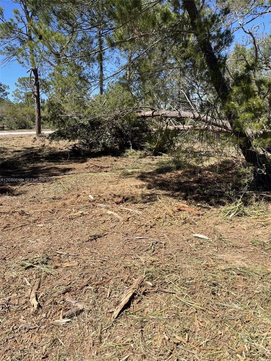 3202 SR 66, Sebring FL 33185