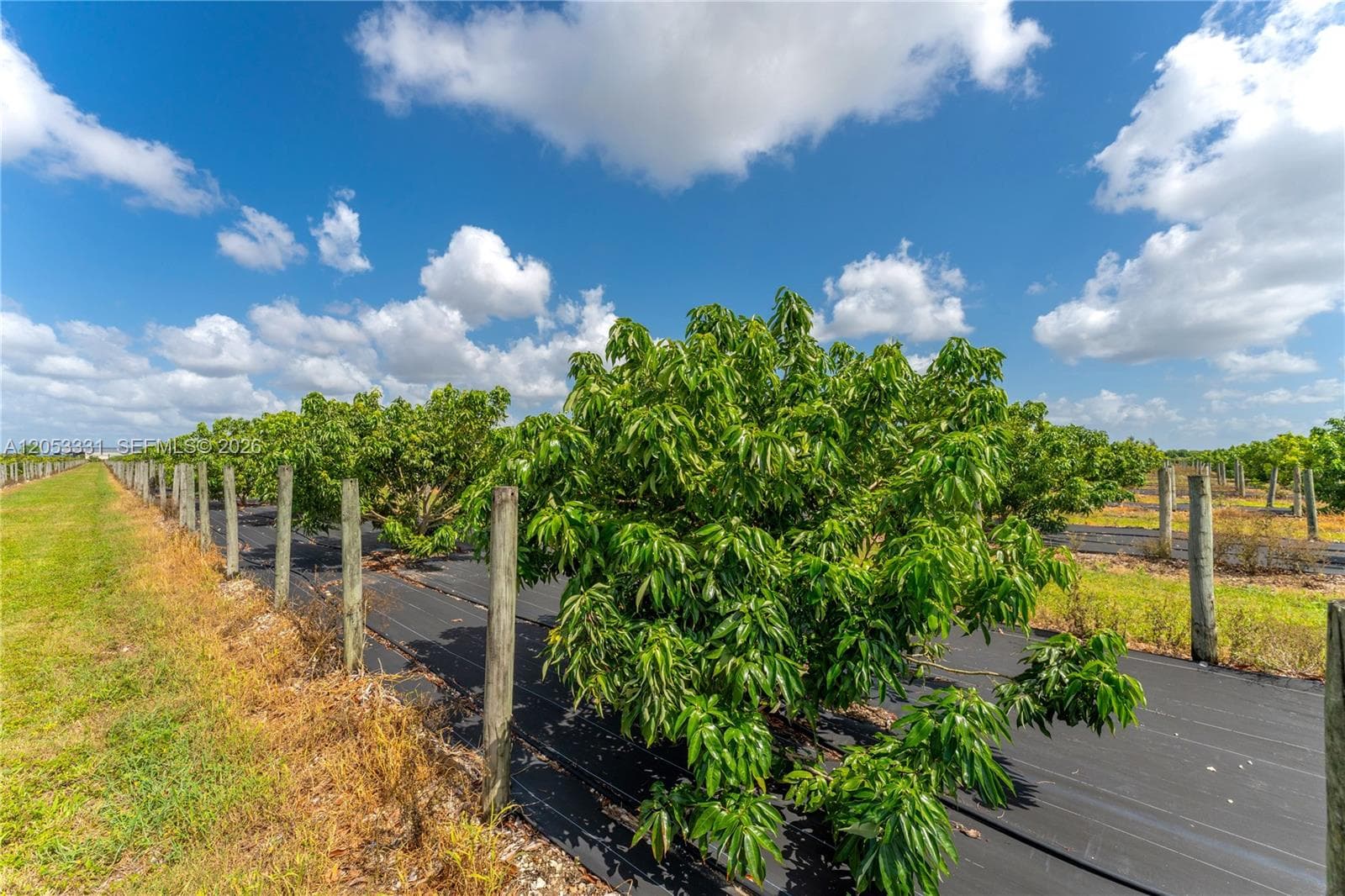 320XX sw 217 ave, Homestead FL 33030