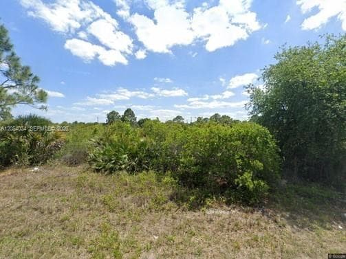 2905 W 55 STREET, Lehigh Acres FL 33971