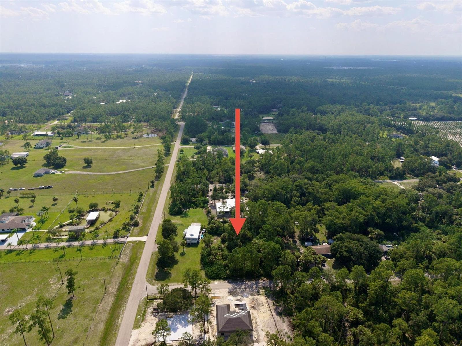 dji_fly_20260715_163608_0388_17841689213