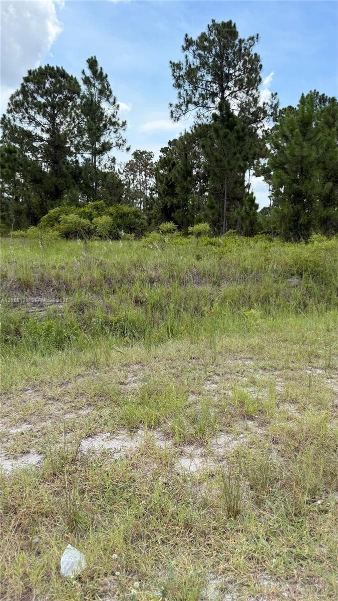 215 N Kennel St, Clewiston FL 33440
