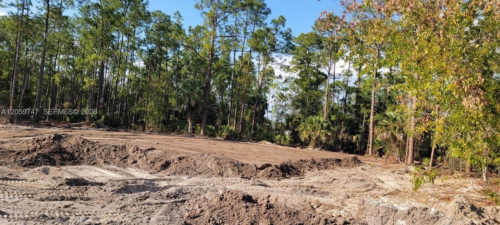 1305 E E 11 St, Lehigh Acres FL 33972