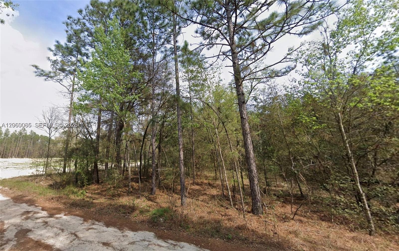 0 SW 17th Terr, Other City - In The State Of Florida FL 34432
