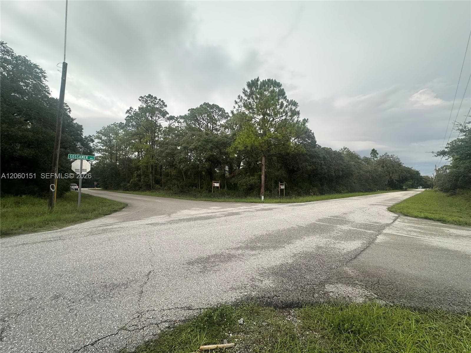 3362 Gossamer Ave, Lake Placid FL 33852