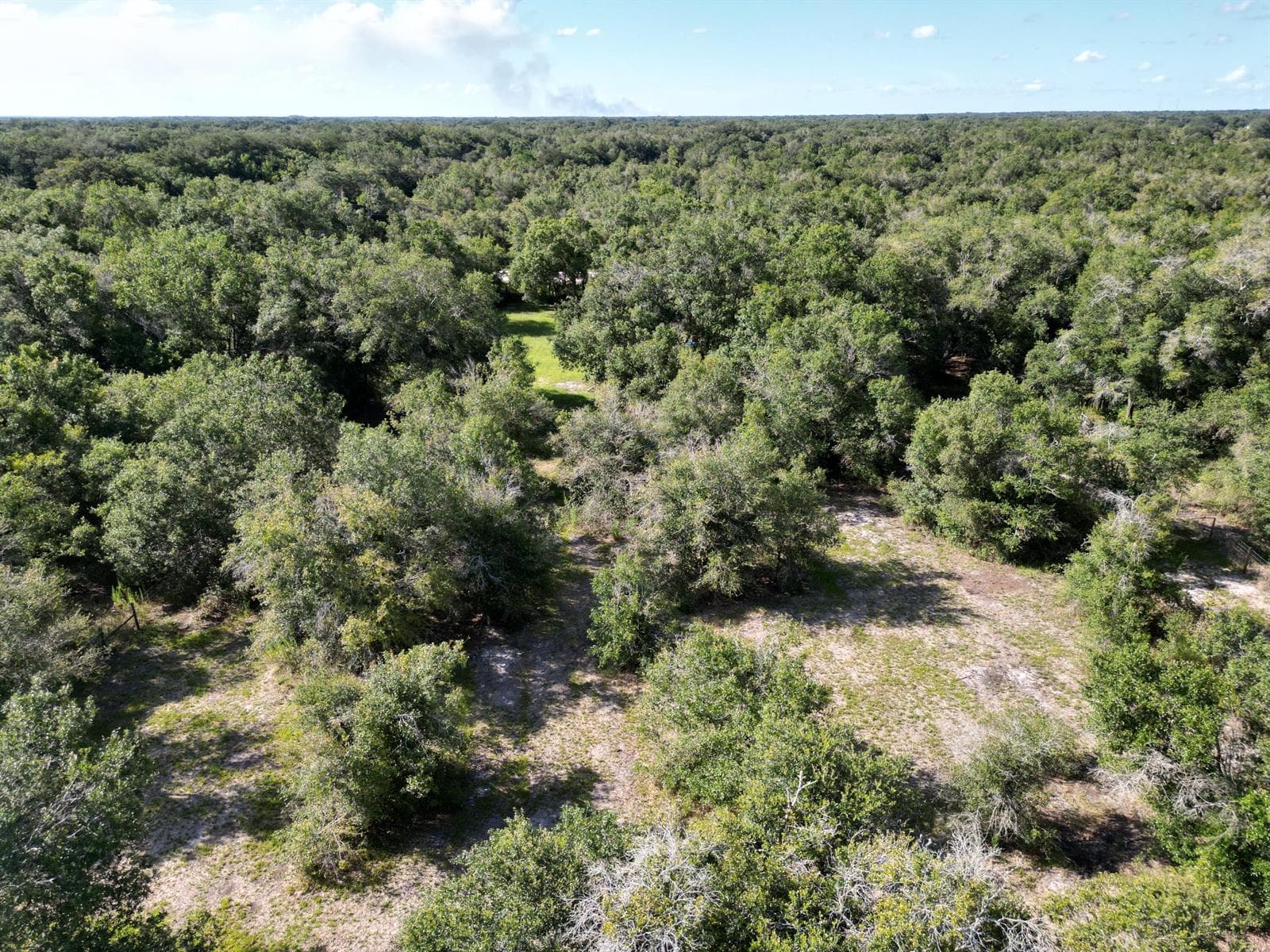 DJI_0949