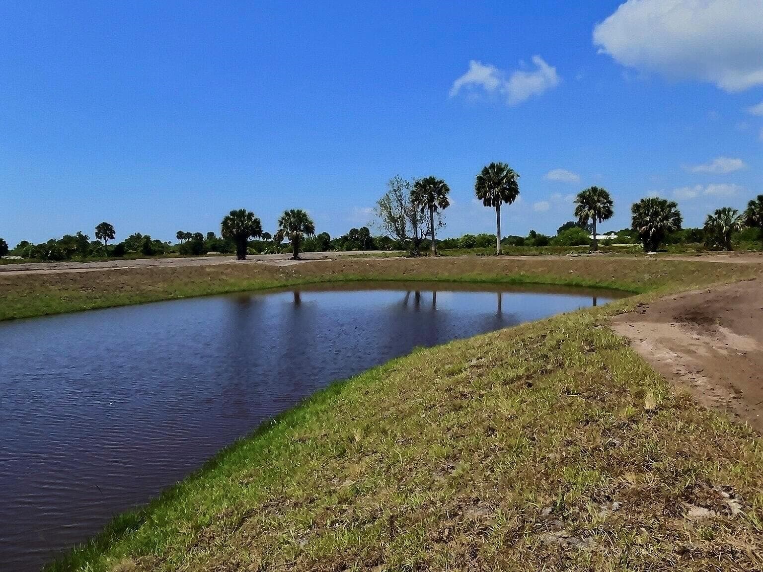 Pond