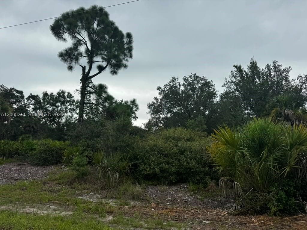 Beautiful vegetation