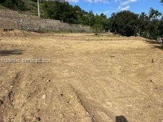 Land area