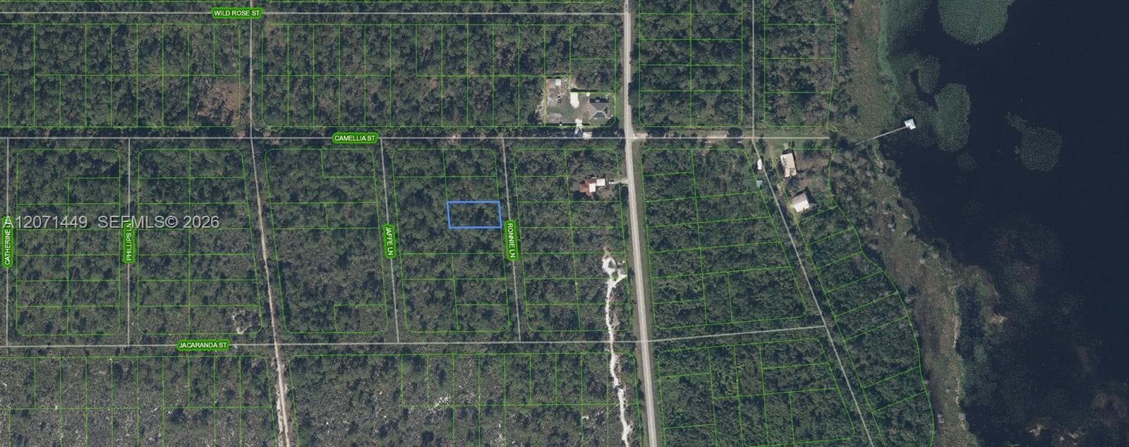 722 Ronnie Lane, Lake Placid FL 33852