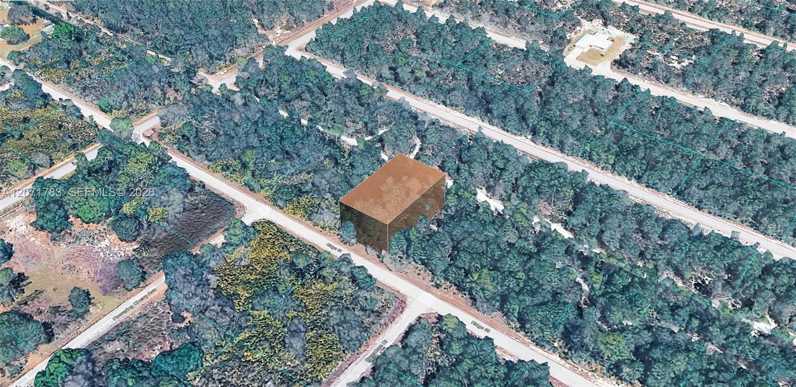 955 RIDGE ST, Lake Placid FL 33852