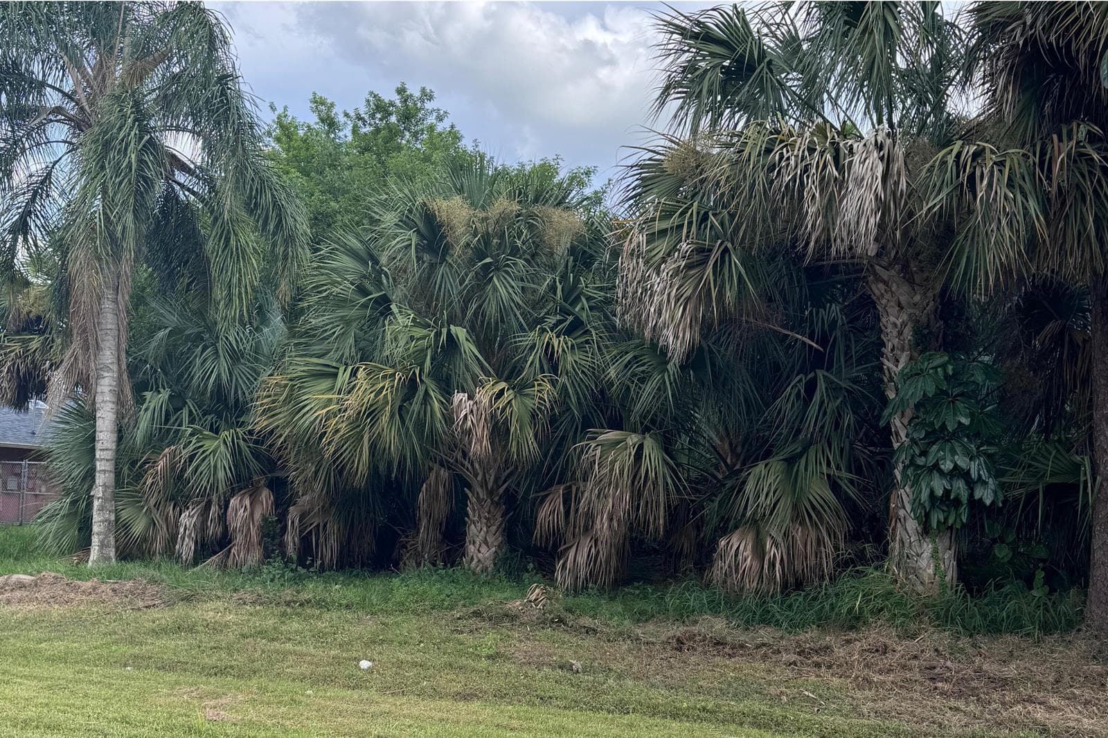 908 SW Bay State Rd (3)