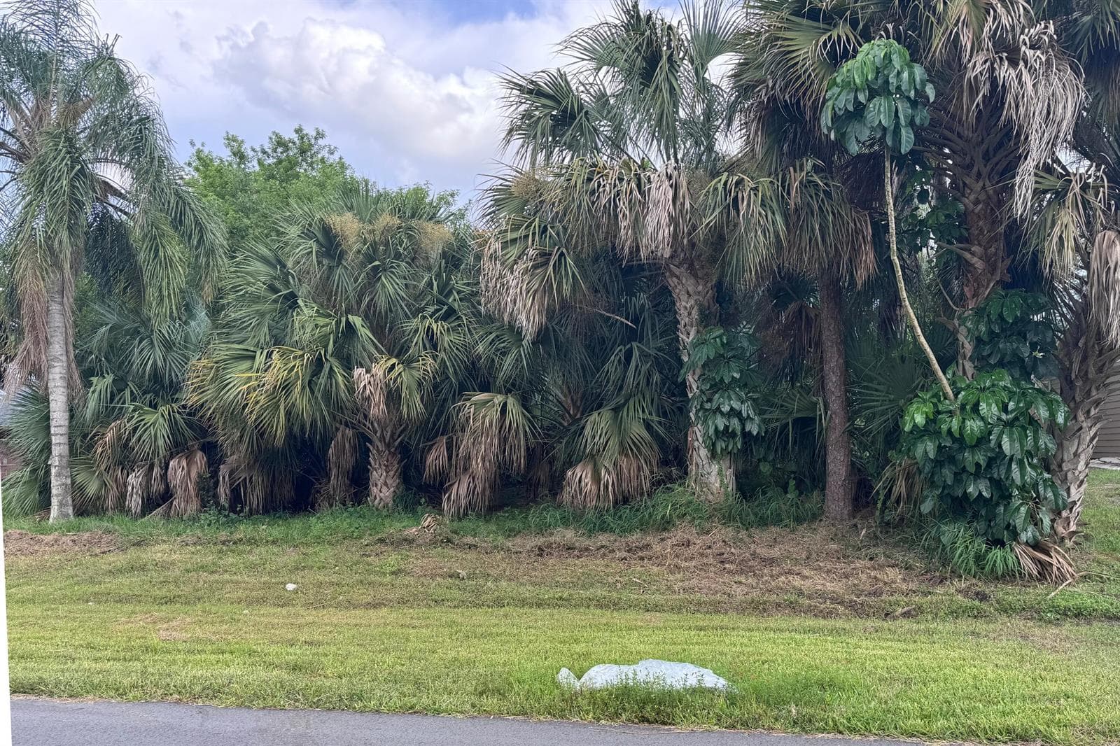 908 SW Bay State Rd (4)