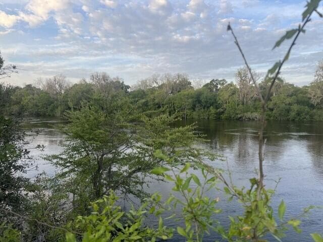 River Picture 2