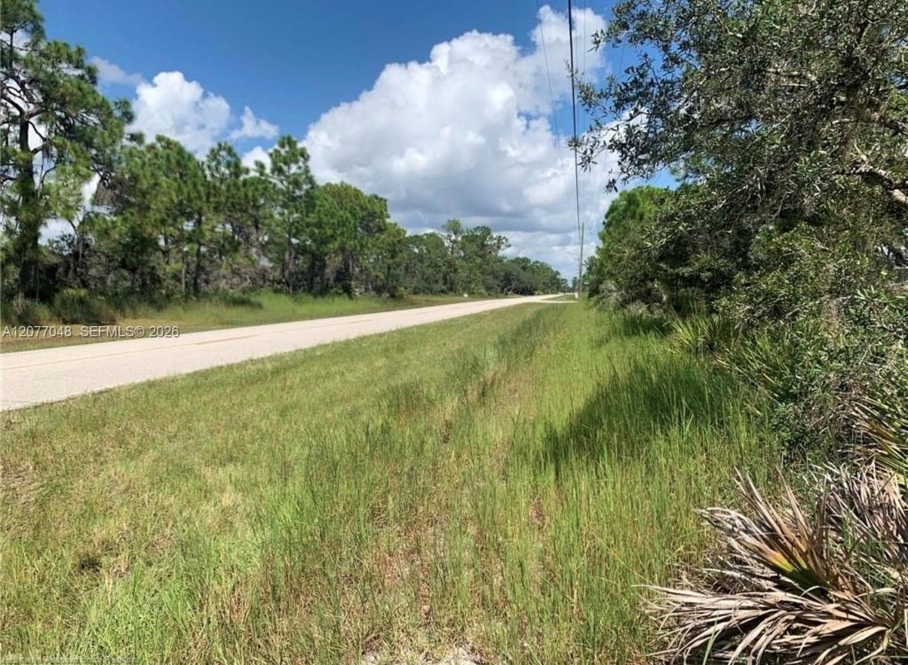 1415 GLADSTONE STREET, Lake Placid FL 33852