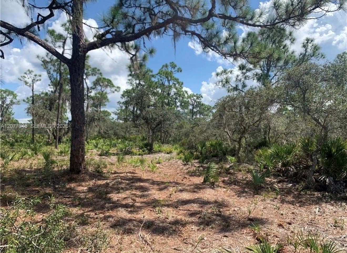 1415 GLADSTONE STREET, Lake Placid FL 33852