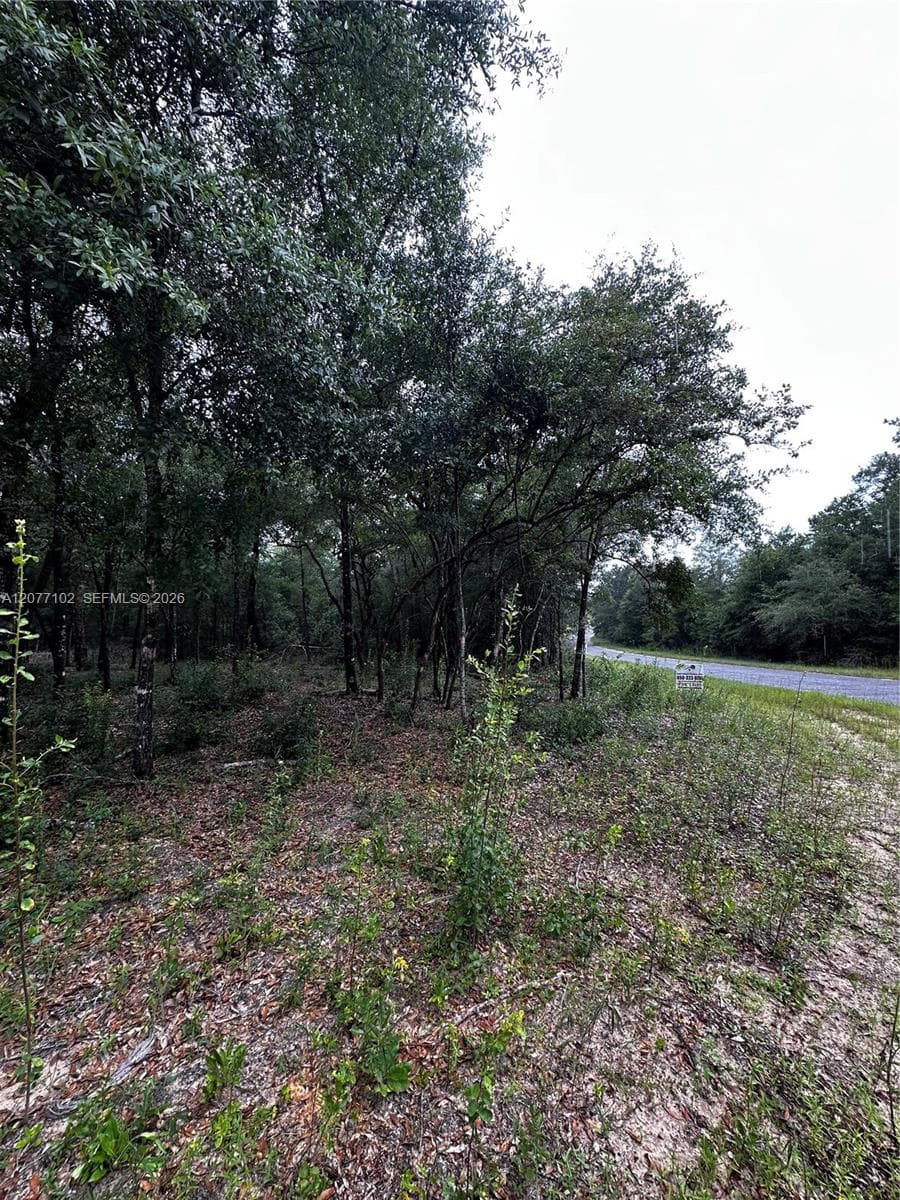 0000 Diane Place, Other City - In The State Of Florida FL 32428