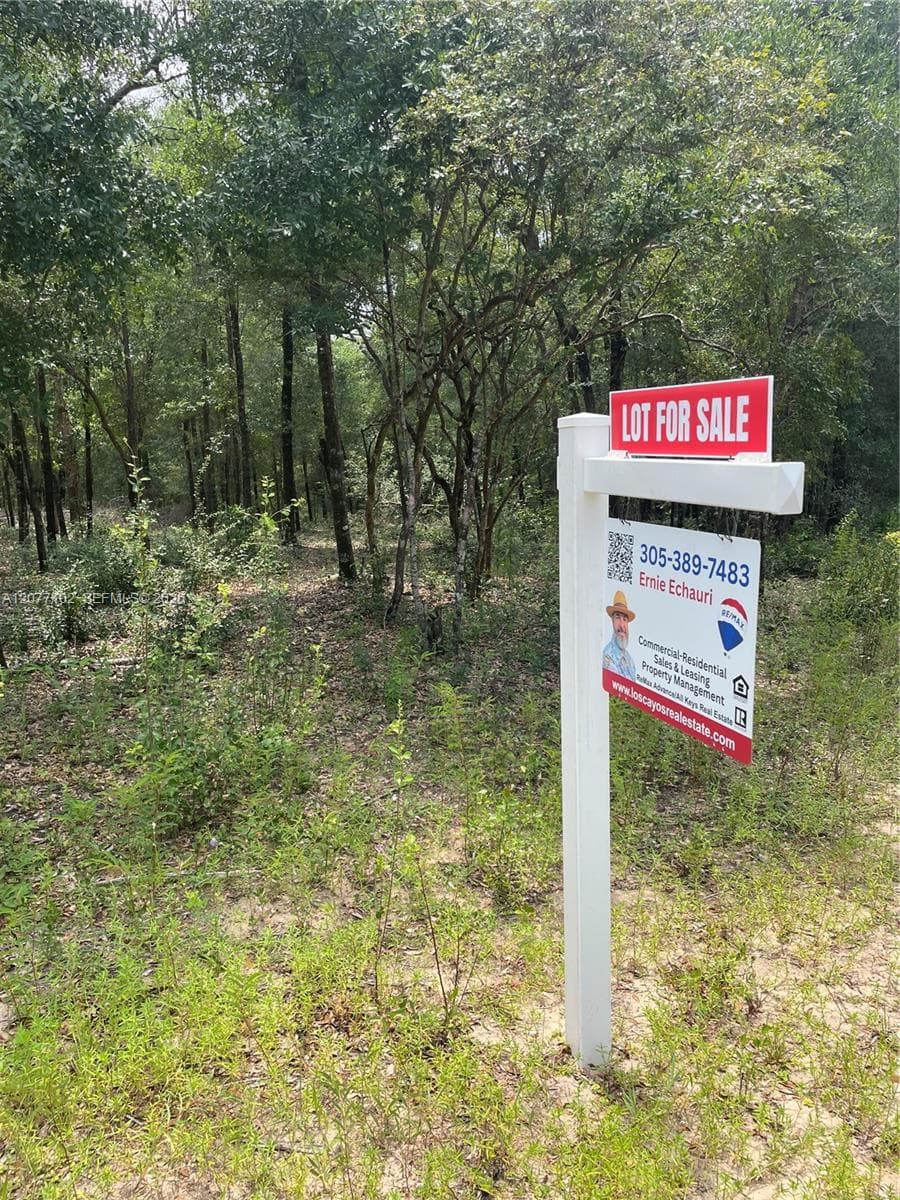 0000 Diane Place, Other City - In The State Of Florida FL 32428