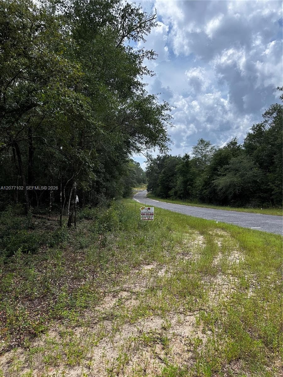 0000 Diane Place, Other City - In The State Of Florida FL 32428