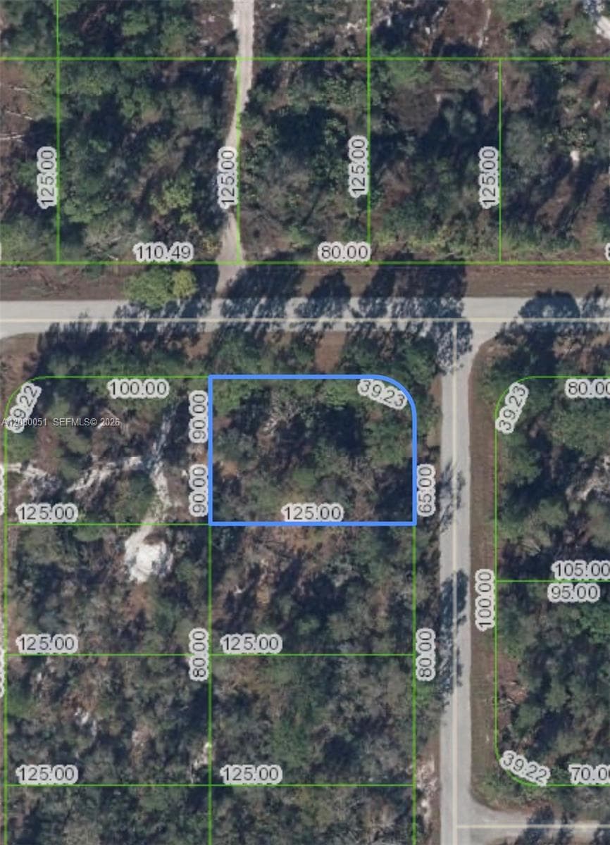 1215 Aleutian St NE, Lake Placid FL 33852