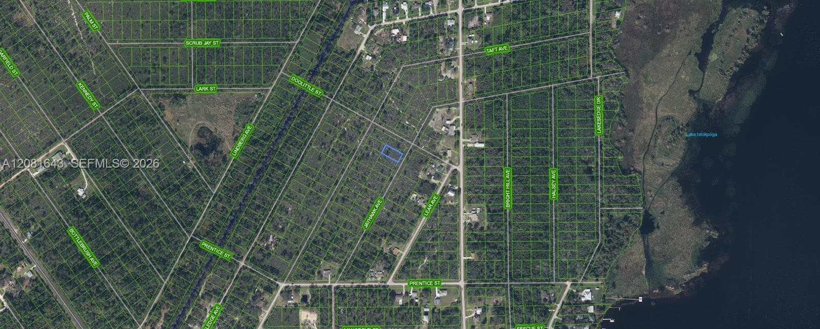 1454 Jayhawk Ave, Lake Placid FL 33852