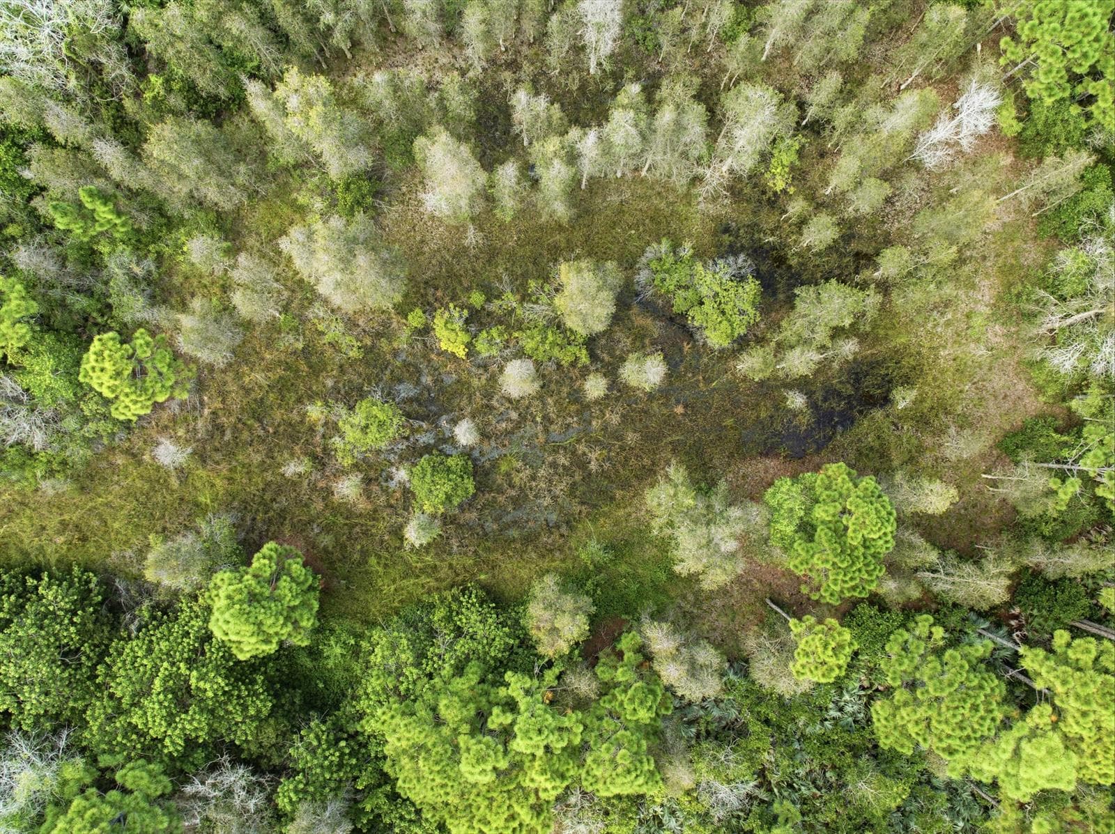 DJI_0065