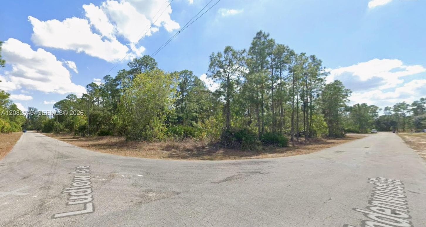 315 LUDLOW AVENUE, Lehigh Acres FL 33972