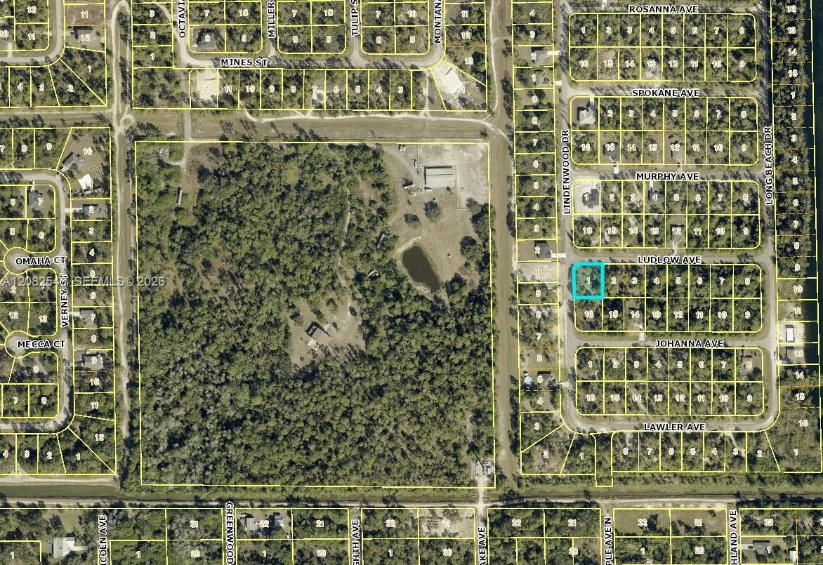 315 LUDLOW AVENUE, Lehigh Acres FL 33972